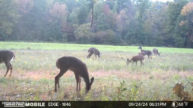 1661 Burch Road, Hartford, NY 12832