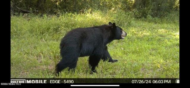 1661 Burch Road, Hartford, NY 12832