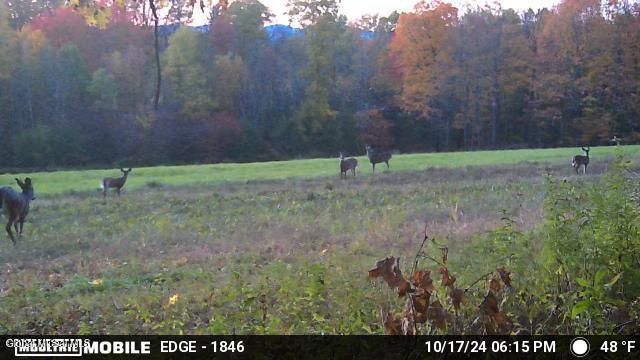 1661 Burch Road, Hartford, NY 12832