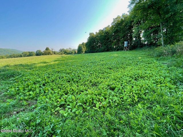 1661 Burch Road, Hartford, NY 12832