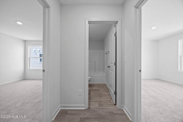 4657 Swimming Lane 19, Shallotte, NC 28470