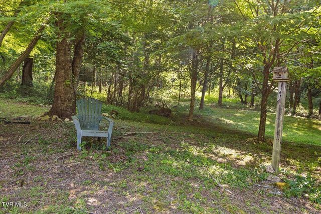 591 Whaley Town Road, Butler, TN 37640