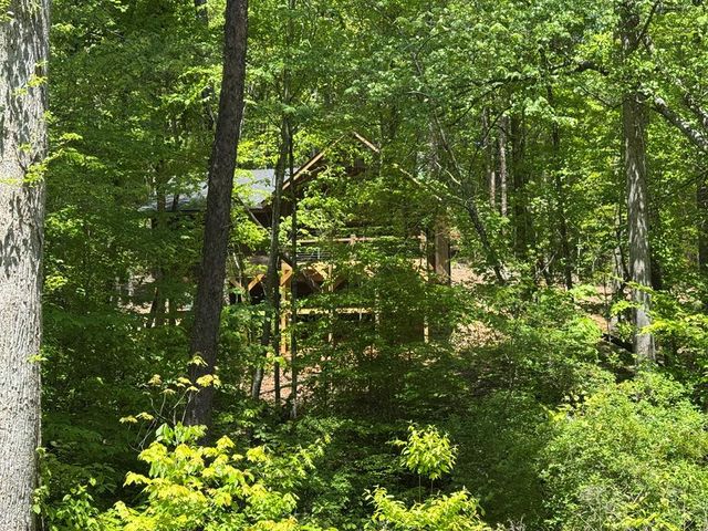 Lot 639 Moreland Drive, Blue Ridge, GA 30513