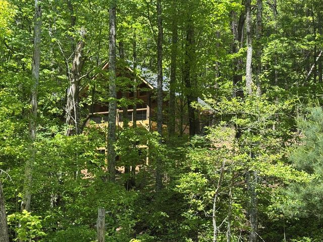 Lot 639 Moreland Drive, Blue Ridge, GA 30513