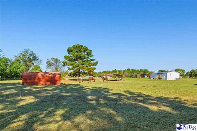 4229 US Hwy 1 S, Wallace, SC 29596