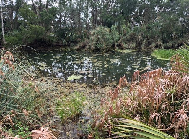 10740 W Spring Circle, Crystal River, FL 34428