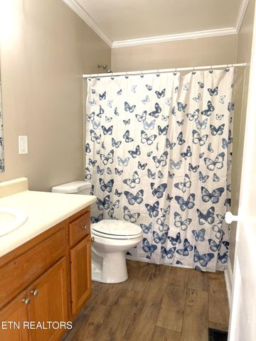 1210 Morningside Ave, Maryville, TN 37804