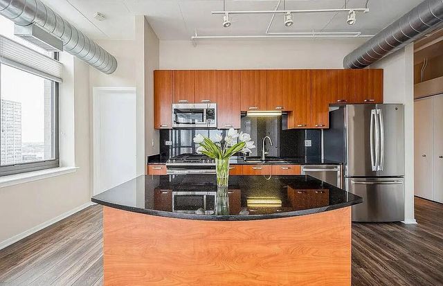 212 E Cullerton Street 1204, Chicago, IL 60616