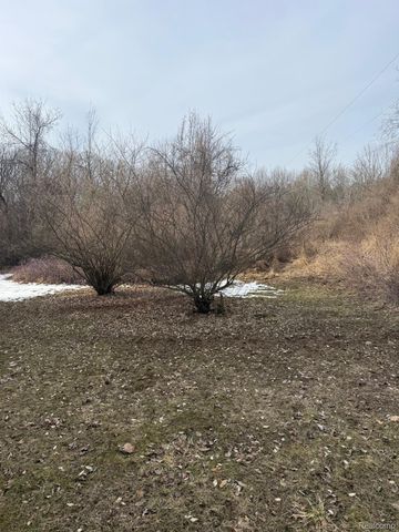 3590 Lippincott Road, Elba Township, MI 48446