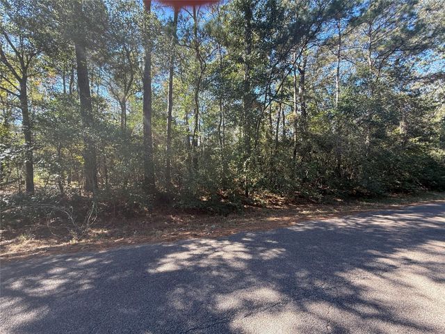 TBD3 Lake Shore Drive, Conroe, TX 77303