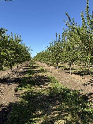 1613 Fig Ave, Patterson, CA 95363