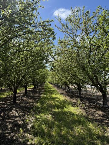 1613 Fig Ave, Patterson, CA 95363