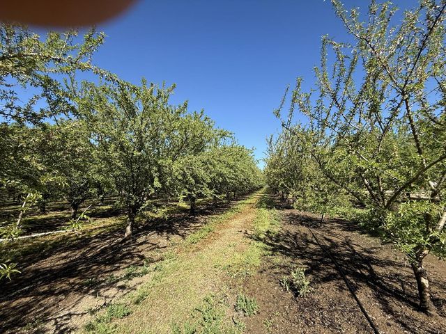 1613 Fig Ave, Patterson, CA 95363