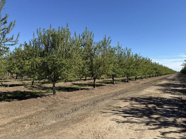 1613 Fig Ave, Patterson, CA 95363