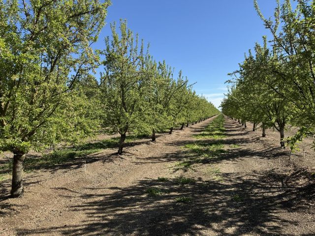 1613 Fig Ave, Patterson, CA 95363