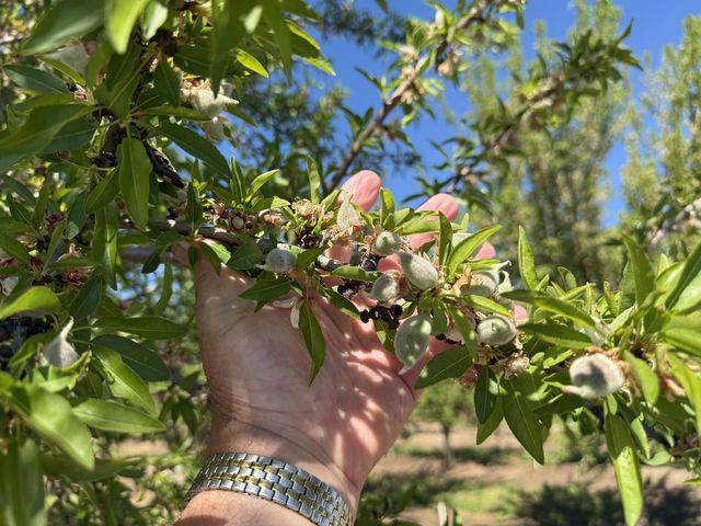 1613 Fig Ave, Patterson, CA 95363