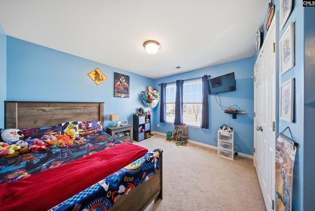 215 Black Pine Court, Lexington, SC 29073