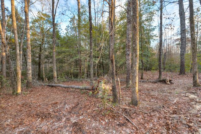 161 Raglins Way, Lugoff, SC 29078