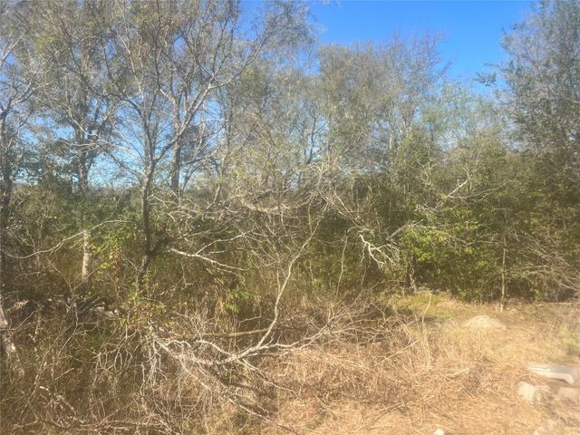 23933 Sagewood Lane, Bedias, TX 77831