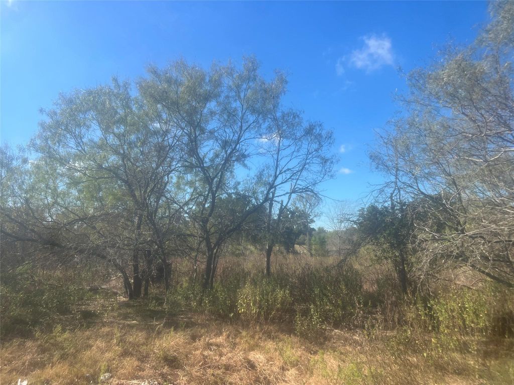 23933 Sagewood Lane, Bedias, TX 77831