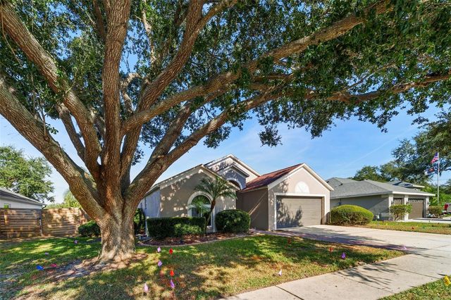 24407 ROLLING VIEW COURT, Lutz, FL 33559