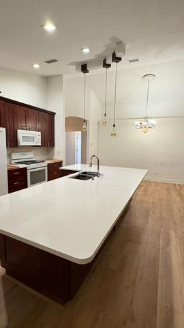 24407 ROLLING VIEW COURT, Lutz, FL 33559