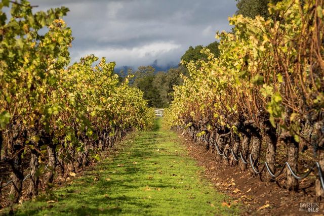 629 Barcelona Dr, Sonoma, CA 95476