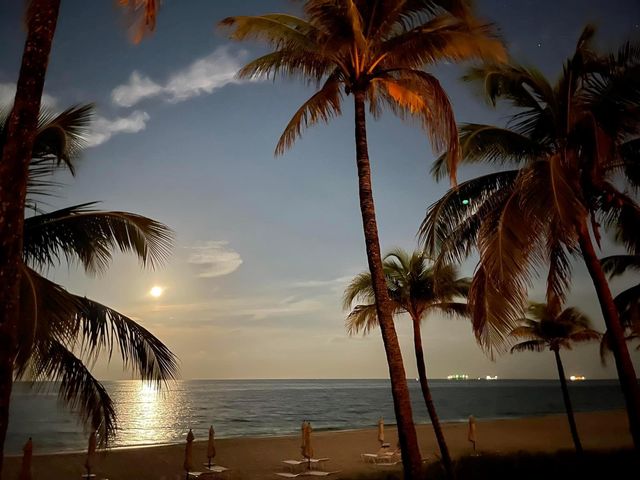 3400 Galt Ocean Drive 1704S, Fort Lauderdale, FL 33308