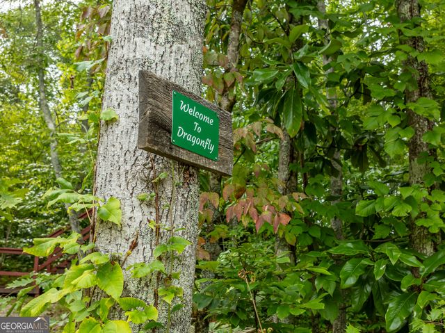 55 Misty Mountain Lane, Blairsville, GA 30512