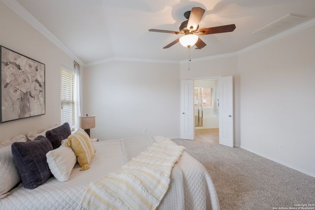 25603 Sophora, San Antonio, TX 78261