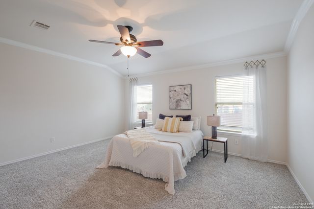 25603 Sophora, San Antonio, TX 78261