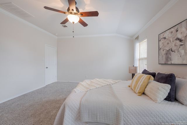 25603 Sophora, San Antonio, TX 78261