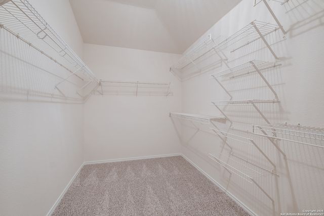 25603 Sophora, San Antonio, TX 78261