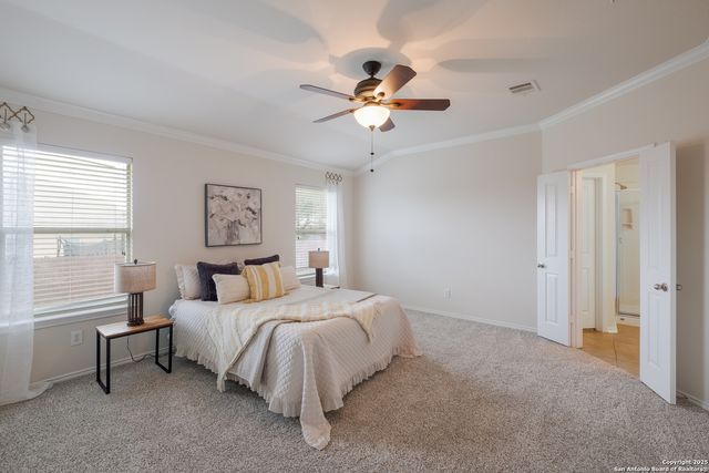 25603 Sophora, San Antonio, TX 78261