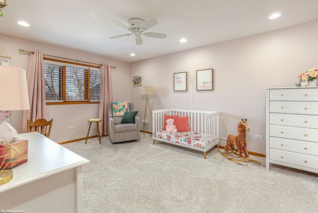 8314 Heather Lane, Tinley Park, IL 60477