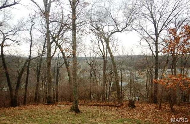 1545 Greenfield Crossing Court, Ballwin, MO 63021