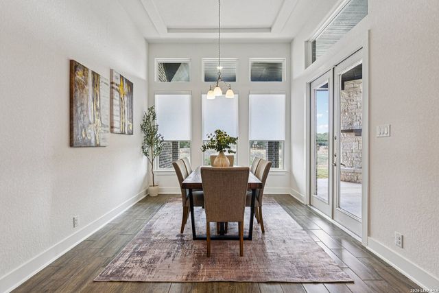 1138 Cape May Warbler, New Braunfels, TX 78132