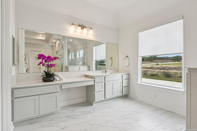 1138 Cape May Warbler, New Braunfels, TX 78132