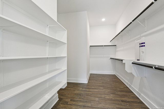 1138 Cape May Warbler, New Braunfels, TX 78132