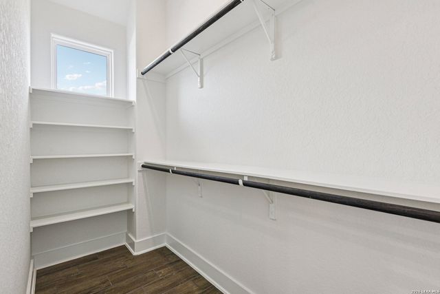 1138 Cape May Warbler, New Braunfels, TX 78132