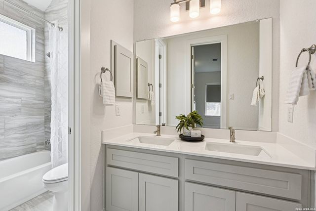 1138 Cape May Warbler, New Braunfels, TX 78132