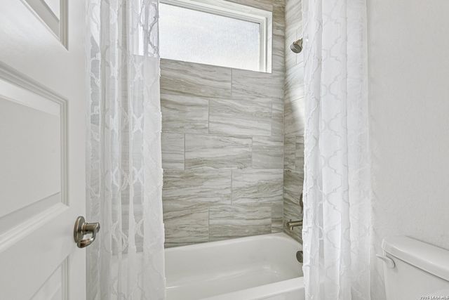 1138 Cape May Warbler, New Braunfels, TX 78132