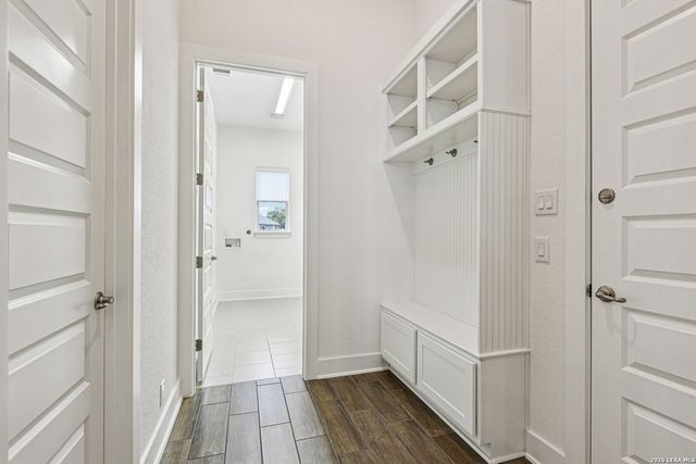 1138 Cape May Warbler, New Braunfels, TX 78132