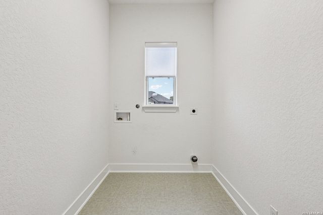 1138 Cape May Warbler, New Braunfels, TX 78132