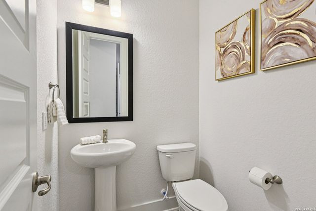 1138 Cape May Warbler, New Braunfels, TX 78132