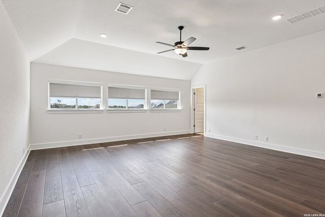 1138 Cape May Warbler, New Braunfels, TX 78132