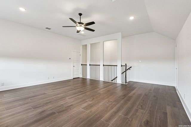 1138 Cape May Warbler, New Braunfels, TX 78132