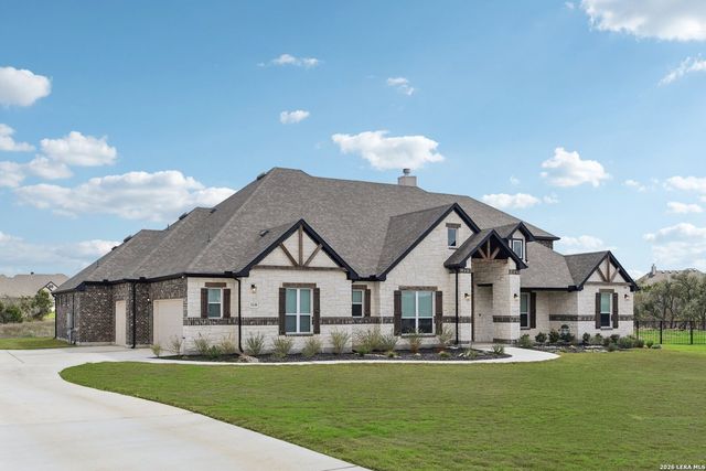 1138 Cape May Warbler, New Braunfels, TX 78132