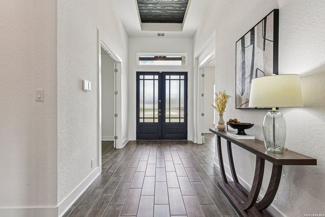 1138 Cape May Warbler, New Braunfels, TX 78132