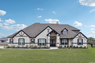 1138 Cape May Warbler, New Braunfels, TX 78132